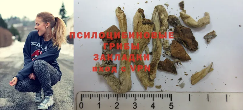 hydra онион  Адыгейск  Псилоцибиновые грибы MAGIC MUSHROOMS 